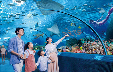 长沙海底世界第 4 张图片