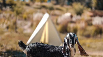 牧野拾趣阳宗海自然教育基地