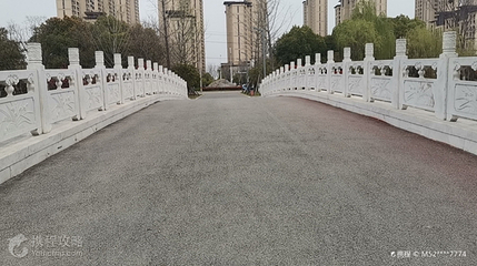 岳家湖公园第 4 张图片