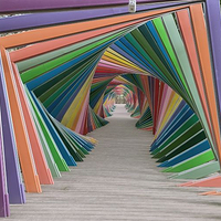 博兴县打渔张森林公园