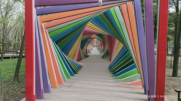 博兴县打渔张森林公园