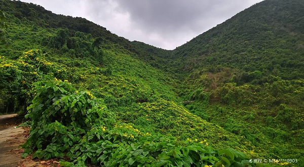 司马岺自然生态公园