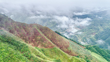 古田山自然保护区