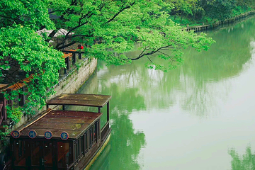 梅花洲第 74 张图片