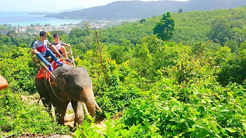 普吉岛卡马拉海景大象营