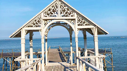 北海金海湾红树林生态旅游区第 20 张图片