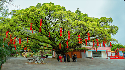 伏波山第 6 张图片
