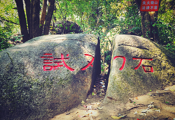 高安市华林山风景名胜区第 13 张图片