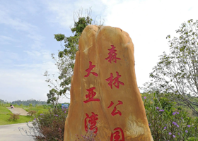 大亚湾森林公园