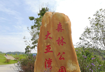 大亚湾森林公园第 1 张图片