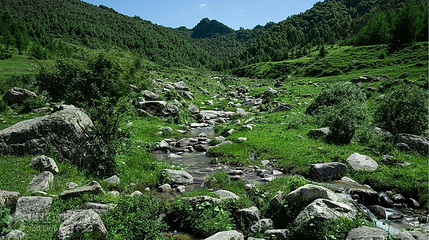 五台驼梁风景区第 5 张图片