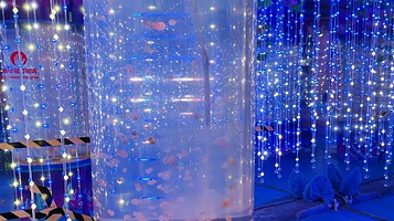 水母海洋世界(金砂公园店)