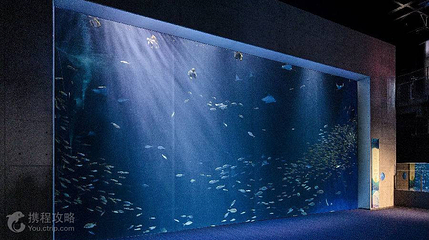 四国水族馆第 2 张图片