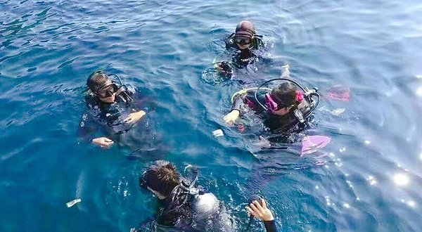 巽寮湾小海狮潜水俱乐部