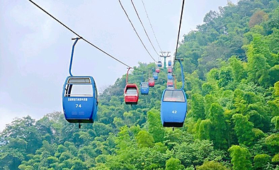 蜀南竹海景区观光索道第 1 张图片
