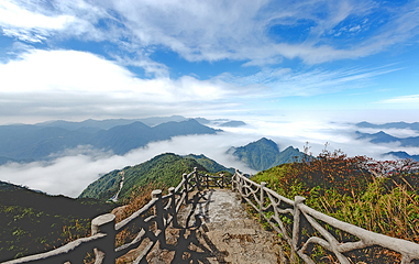莽山旅游区国家森林公园第 19 张图片
