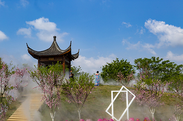 墨潭桃花岛第 12 张图片