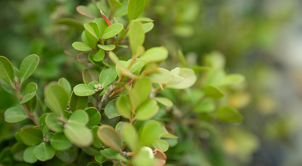 eden春山里生态教育国际生活示范区