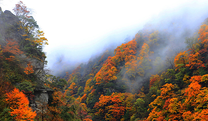 神农顶风景区第 40 张图片