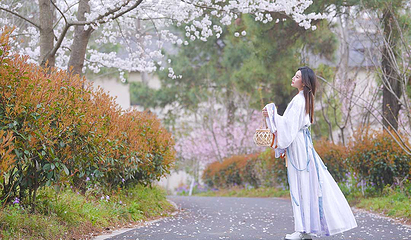 花乡茶谷旅游景区第 69 张图片