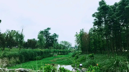 南湖第 3 张图片