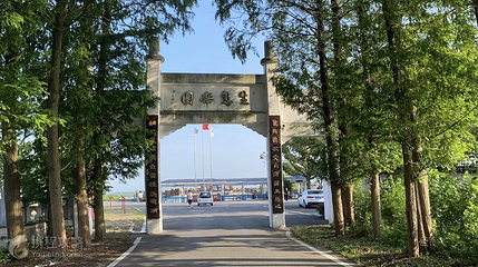 湖北潜江返湾湖国家湿地公园第 5 张图片