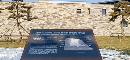 中国古动物馆(保定自然博物馆)第 8 张图片