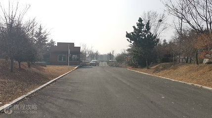 金阳光青岛天鹅湖景区第 3 张图片