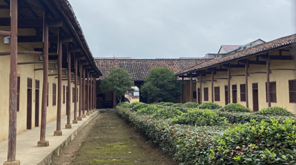 横峰葛源景区第 1 张图片