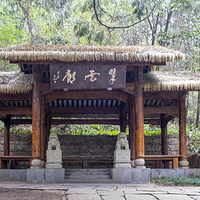 翠云廊