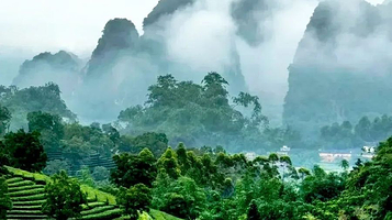 浉河区车云茗茶山庄