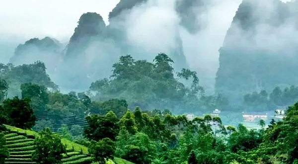 浉河区车云茗茶山庄