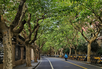 思南路第 3 张图片