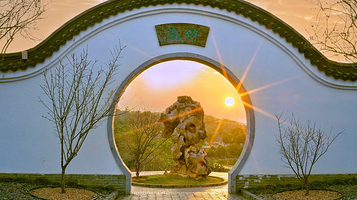 南宁青秀山兰园