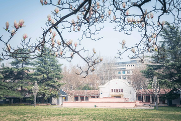 西北大学博物馆第 5 张图片