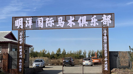 明洋国际马术俱乐部第 1 张图片