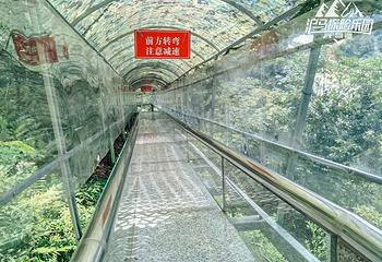 千岛湖沪马探险乐园第 11 张图片