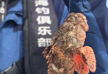 北贤游艇海钓俱乐部第 15 张图片