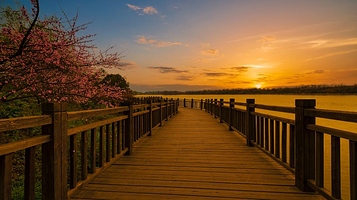 鲁家滩湿地公园