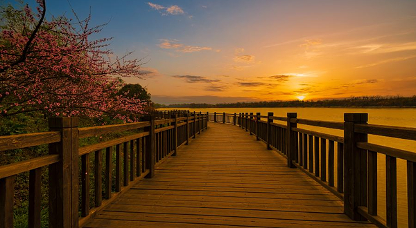 鲁家滩湿地公园