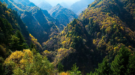 大墩峡景区第 1 张图片
