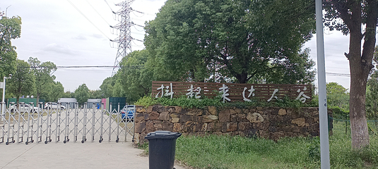 苏州抖起来达人谷张桥月季公园第 26 张图片
