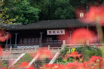 苏州上方山国家森林公园第 25 张图片