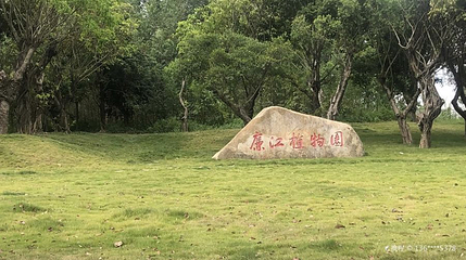 廉江植物园第 1 张图片