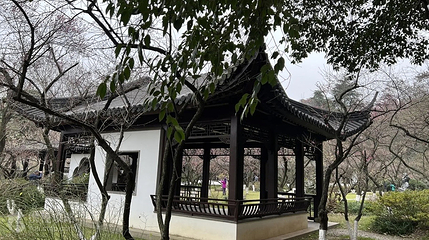 雨花台风景名胜区-梅岗第 2 张图片