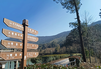 阁皂山风景名胜区第 2 张图片