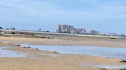 净峰林场第 1 张图片