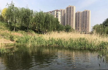 商中河湿地公园第 1 张图片