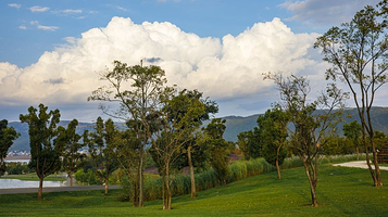 太平湖森林小镇