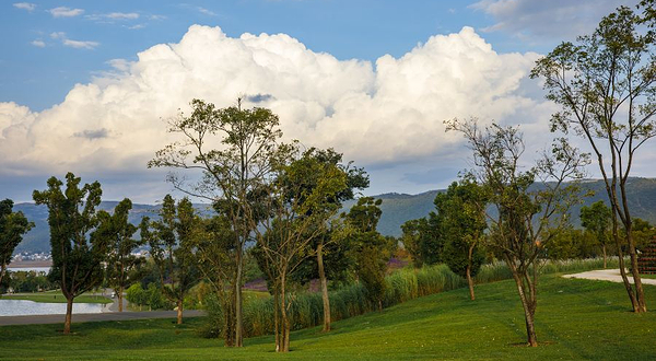 太平湖森林小镇